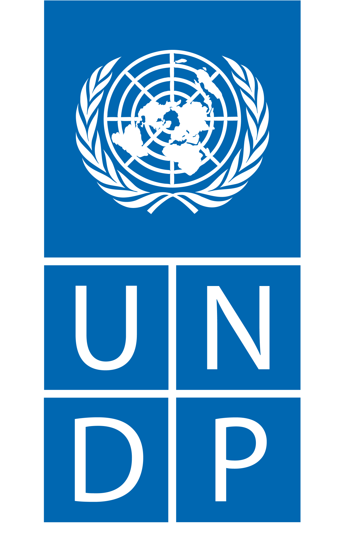 undp logo
